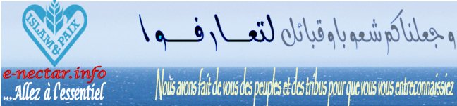 banniere_newsletter